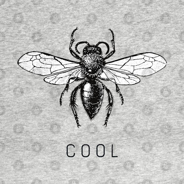 Bee Cool by FITmedia